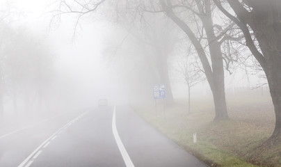 driving the Fog Road