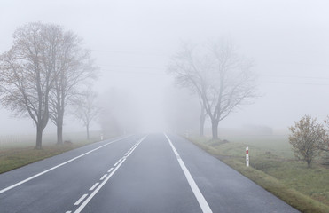 The road in the fog