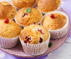 Tasty muffin (cupcake) with cranberries