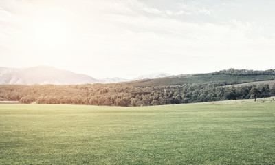 Obraz premium Green summer paradise