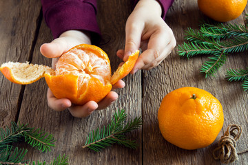 Tangerine and fir branches in children hands