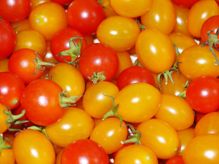 Small Red and Yellow tomatos.