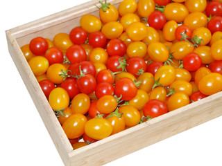 Small Red and Yellow tomatos.