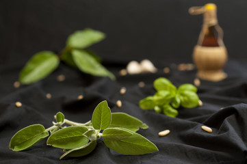 Aromatic plants and ingredients