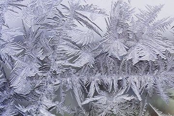 beautiful winter frosty pattern made of brittle transparent crystals on the glass