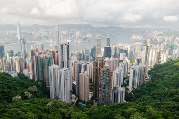 Fototapeta na wymiar View of Hong Kong from Victoria's Peak
