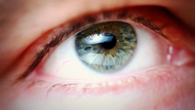 Human Eye detail footage