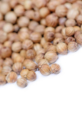 Group of coriander seeds on white background