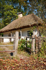 Fototapeta na wymiar Ursprüngliche Häuser in der Ukraine 