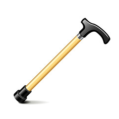 Disabled stick isolated on white vector