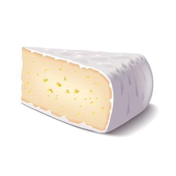 Brie Cheese Isolated On White Vector