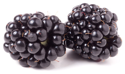 two blackberry isolated on a white background closeup