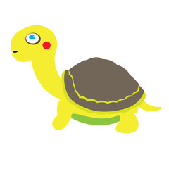 Isolated tortoise