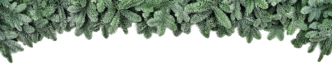 Breite Bordüre für Weihnachten: frische Tannenzweige mit Frost Look, isoliert auf Weiß