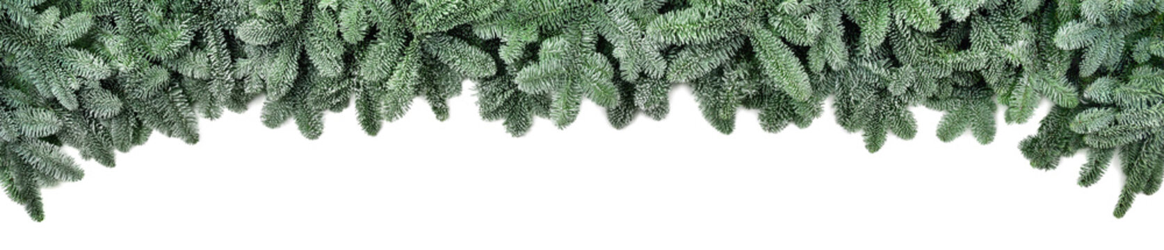 Breite Bord&uuml;re f&uuml;r Weihnachten: frische Tannenzweige mit Frost Look, isoliert auf Wei&szlig;