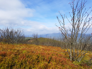 Autumn in Bieszczady Mountains, Poland.Bieszczady are part of Beskid mountains which a part of Catpathian range.