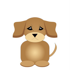 Fototapeta premium Puppy