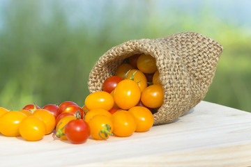 Small Red and Yellow tomato.