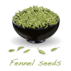 fennel seeds on white background
