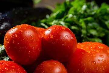 Close-up of fresh, ripe tomatoes, eggplant and parsley.Group of tomatoes, eggplant and parsley. Red and yellow tomatoes, tomatoes and parsley in drops of water 