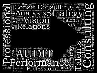 Fototapeta premium audit word cloud