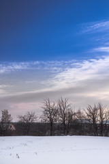Winter rural landscape with snow trees on horizon and dramatic sky during twilight