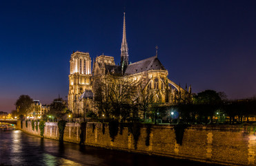 Fototapeta na wymiar Notre-Dame de Paris by night