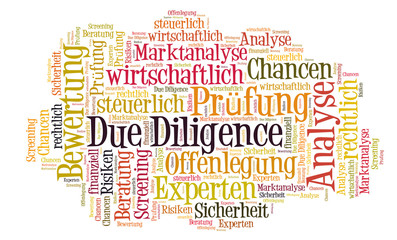 Fototapeta premium Due Diligence word cloud
