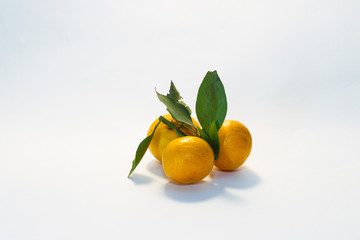 Group of tangerines with twigs and leaves on a light background
