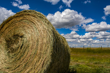 roll of hay in the field