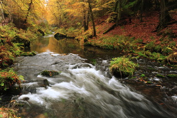 Fototapeta na wymiar Autumn colors river