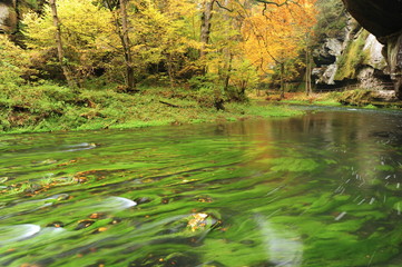 Autumn colors river