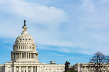 Naklejka premium Daytime Landscape US Capitol Building Washington DC Grass Blue S