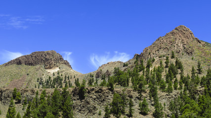 Parc National du Teide - Tenerife