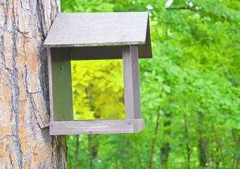 feeder for squirrels