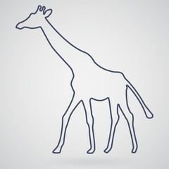 Silhouette of a giraffe, which is, is depicted on a light gray b