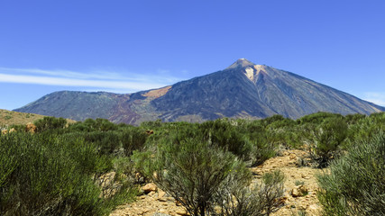 Fototapeta premium Park Narodowy Teide
