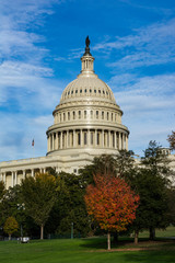 Obraz premium US Capitol Buiding Washington DC Dome Detail Closeup Alone Dayli