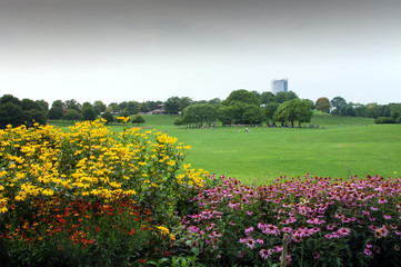 Rheinaue in Bonn mit Post Tower