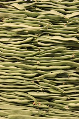 beans