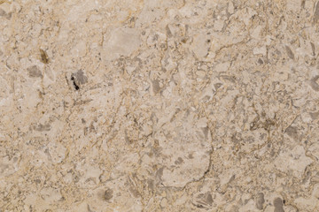 natural beautiful marble in light beige colors
