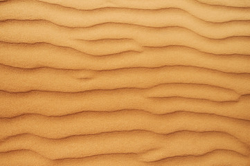 Fototapeta na wymiar closeup sand texture. picture with soft focus