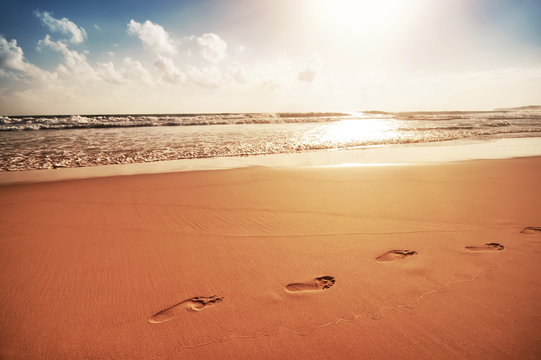 footsteps on gold sandy ocean beach on sunset. natural summer ba