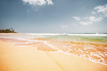 beautiful landscape with sandy ocean beach in waves, blue cloudy sky and palms on horizon