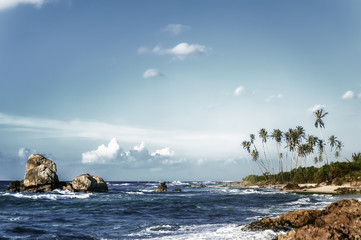 beautiful exotic ocean beach with palms, rocks and blue cloudy sky on horizon. vintage picture