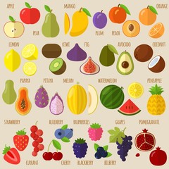 Fruits and berries  icon set