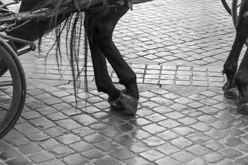 Mi concede questo ballo © Fernikon