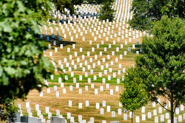 Tombstones on a grassy hill at Arlington National Cemetery