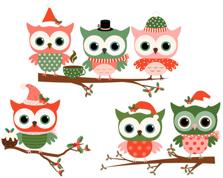 Cute Christmas owl characters on tree branches in green and red