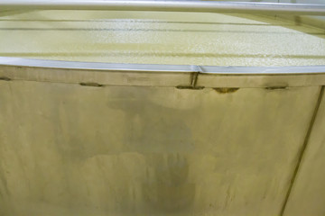 Inside fermentation vat